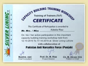 Award or certificate presented to Silver Lining Welfare Organization