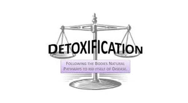 Illustration of a balance scale with the word Detoxification